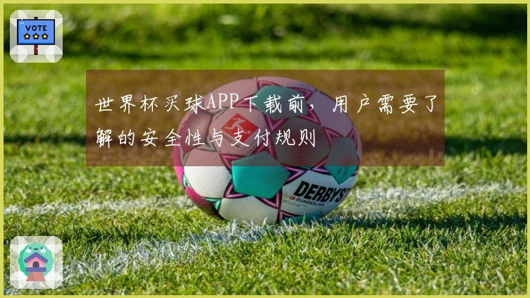 世界杯买球APP下载前，用户需要了解的安全性与支付规则