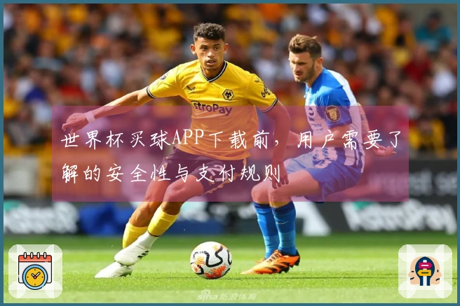 世界杯买球APP下载前，用户需要了解的安全性与支付规则
