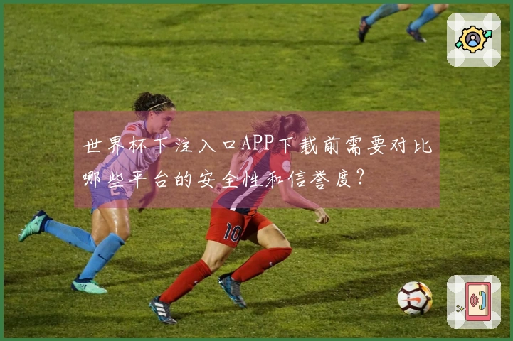 世界杯下注入口APP下载前需要对比哪些平台的安全性和信誉度?