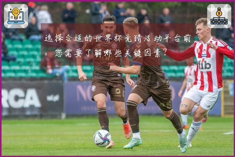 选择合适的世界杯竞猜活动平台前，您需要了解哪些关键因素？