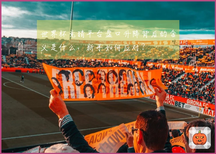 世界杯竞猜平台盘口升降背后的含义是什么，新手如何应对？