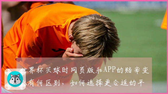世界杯买球时网页版和APP的赔率变化有何区别，如何选择更合适的平台？