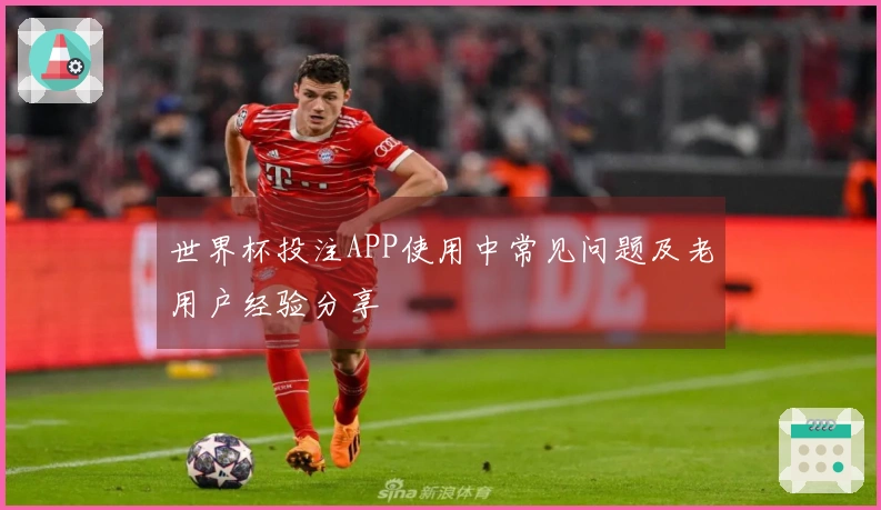 世界杯投注APP使用中常见问题及老用户经验分享